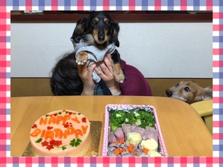 AC2CDBF0-1B12-4CD6-82C5-4265E85091CC.jpeg