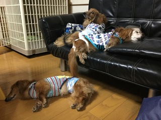 image.jpeg