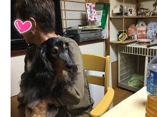 image.jpeg